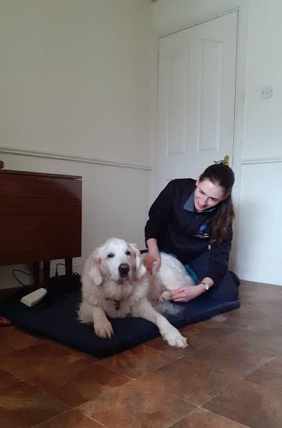 ADAnimal Physiotherapy centre image