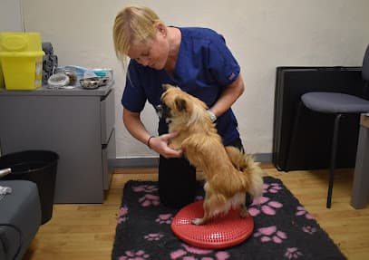 Vet Rehab Ni Ltd centre image
