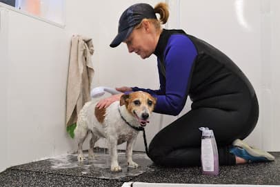 Waves Canine Hydrotherapy centre image