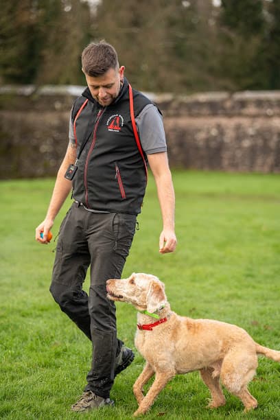 American Standard K9 Dog Training Ireland (Belfast) centre image