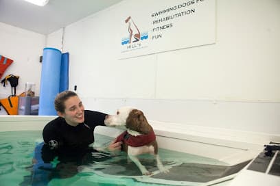 Hill's Canine Rehabilitation centre image