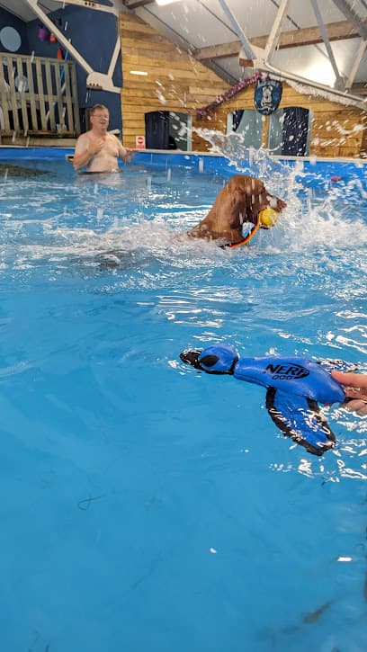 Paws In The Pool centre image