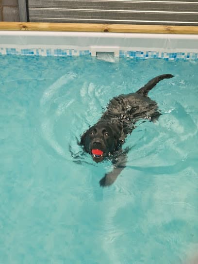 Soggy Dogz centre image