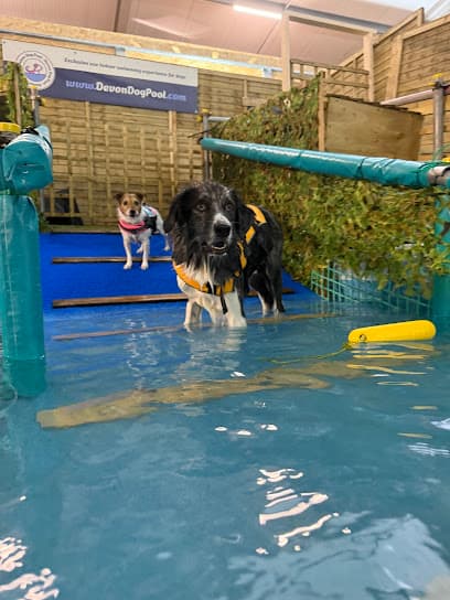 Devon Dog Pool centre image