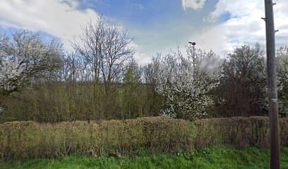Canine Conditioning Academy centre image