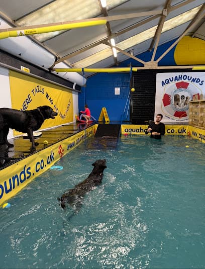 Aquahounds Ltd centre image