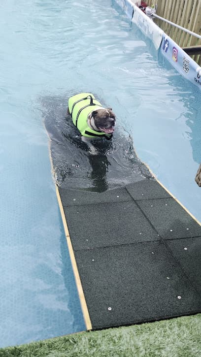 Swim Dog centre image