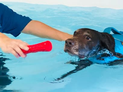 House of Hydro - Canine Hydrotherapy Centre centre image