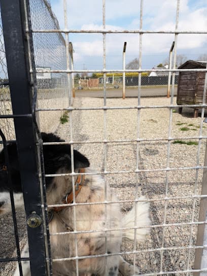Benvardin Animal Rescue Kennels centre image