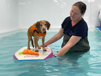 Malvern Canine Hydrotherapy Centre centre image