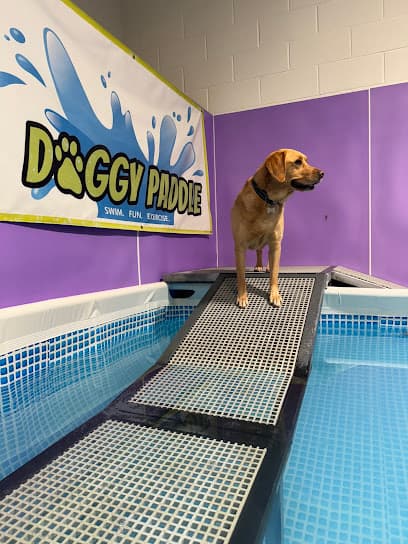 Doggy Paddle centre image