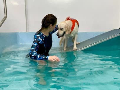 Tidal Paws Dog Fitness Swimming Pool centre image