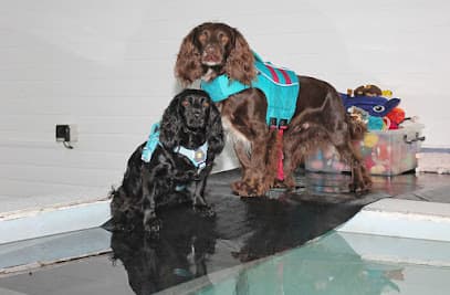 Five Valleys Canine Hydrotherapy centre image