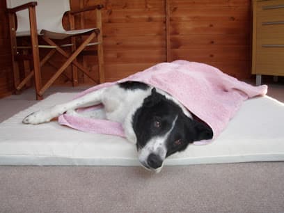 Animal Physiotherapy Ltd centre image