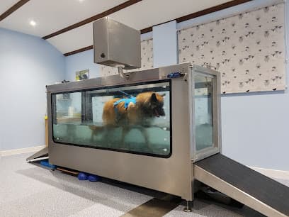 Positive Pawformance Veterinary Physiotherapy & Hydrotherapy centre image
