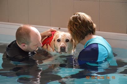 Greenstead Green Canine Hydrotherapy centre image