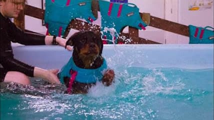 Aqua Dog Hydrotherapy centre image