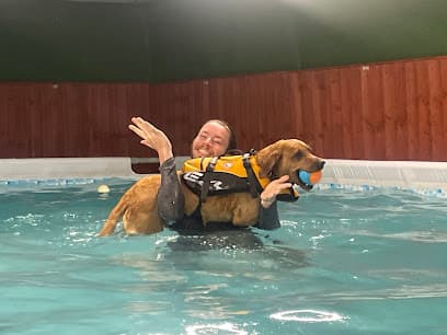 Canine Aqua Splash centre image
