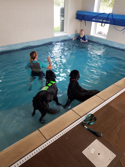 Well Dogs Canine Hydrotherapy pool centre image