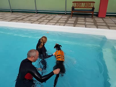 The Retreat, Canine Hydrotherapy and Rehabilitation centre image