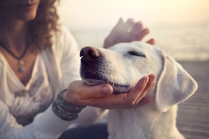 Holistic Vet Care centre image