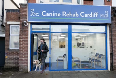 Canine Rehab Cardiff centre image
