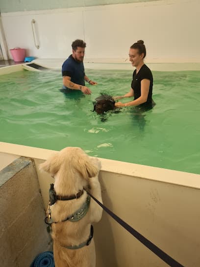 Sherwood Canine Fun Fitness And Mobility Swim Centre centre image