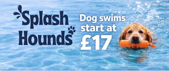Splash Hounds Dog Swimming Pool centre image