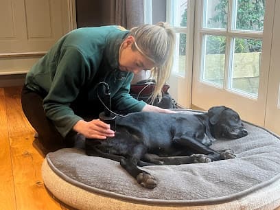 PhysiVet Veterinary Physiotherapy centre image