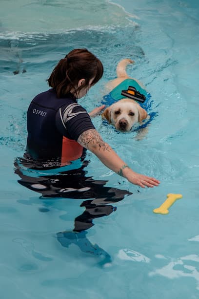 The Canine Fitness Centre (Wickham) | Previously known as Hydrotherapy Four Paws centre image