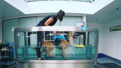 Cheshire Canine Hydrotherapy Centre Ltd centre image