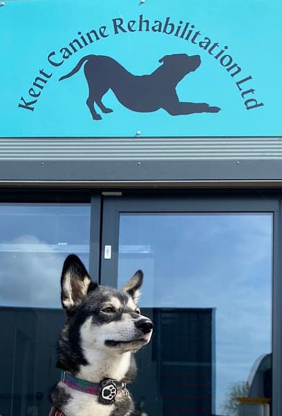 Kent canine rehabilitation Ltd centre image