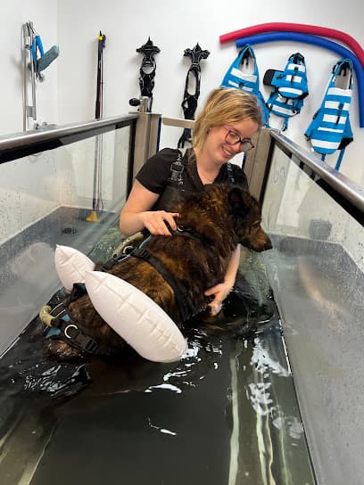 Healing Hounds Clinic centre image