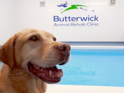 Butterwick Animal Rehab Clinic centre image