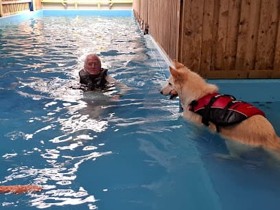 Swim 4 Paws centre image