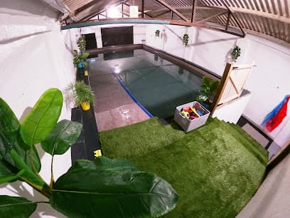 Dog Splash centre image