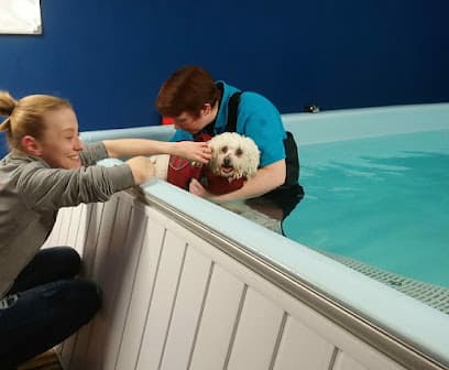 Paddling Pups centre image