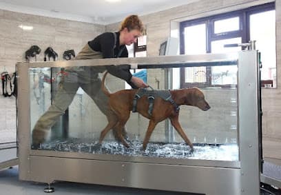 Brook Barn Canine Rehabilitation centre image