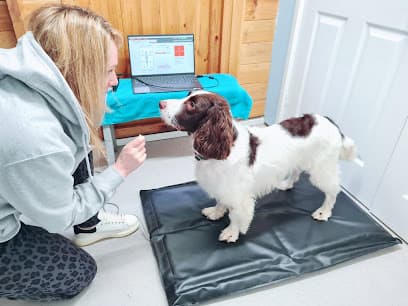Yorkshire Canine Veterinary Physiotherapy centre image