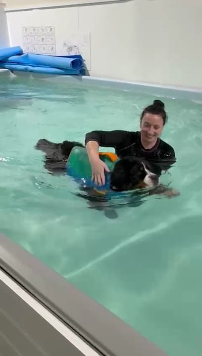 Vet Rehab Ni Ltd centre image