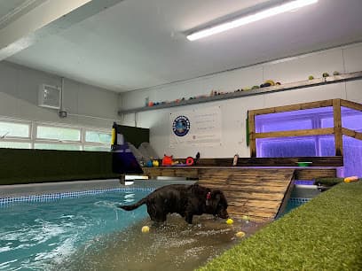 Kent Canine Swim centre image