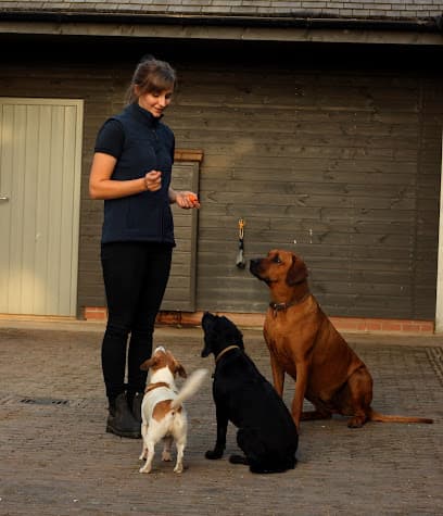 Paddock and Paws Veterinary Physiotherapy centre image