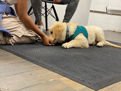 Animal Wellbeing Centre, Dog Training Services in London, Notting Hill W10 centre image
