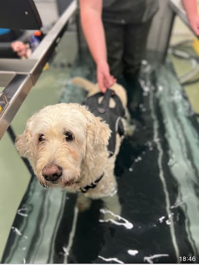 CF Veterinary Physiotherapy centre image