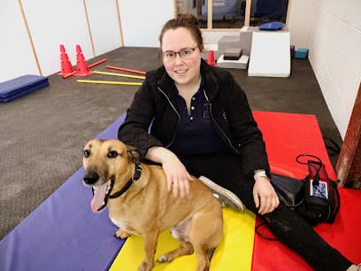Vetannery Physiotherapy centre image