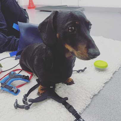 The Retreat Canine Hydrotherapy & Rehabilitation Centre centre image
