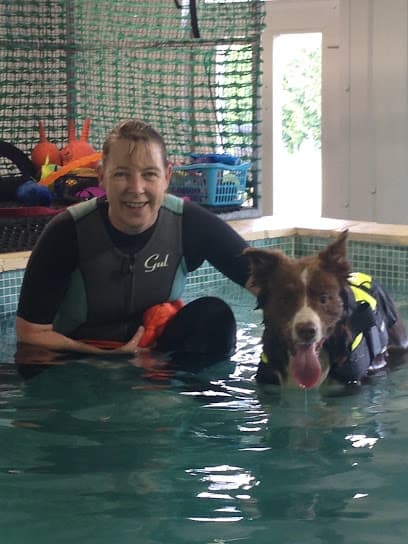 K9 Aquacise & Hydrotherapy centre image