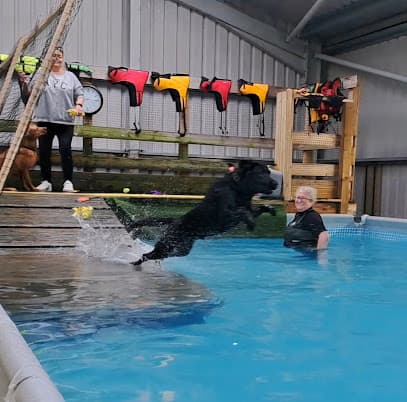 Splash doggy centre image